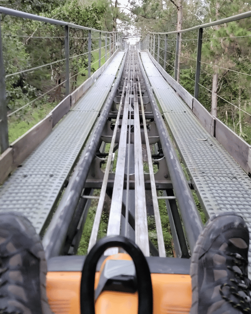Man riding alpine coaster