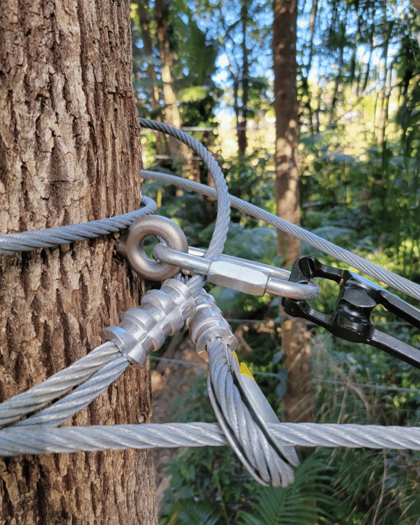 High Ropes & Outdoor Adventure Parks - Aidaptive Consulting