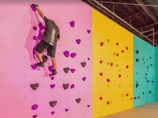 Climbing Wall, Aidaptive Consulting